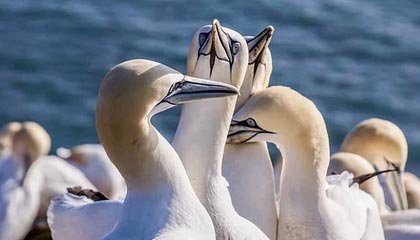 下个“战场”已定下，美国突然对华下禁令，不许中方抢先一步