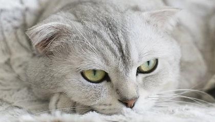 莫迪态度大变，美媒发现：印度对巴动武不再克制，事情果然不简单