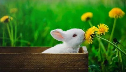 小米汽车无人操作下突然移动，车主否认客服误触手机致车辆启动说法，曝光全程视频：我没碰手机