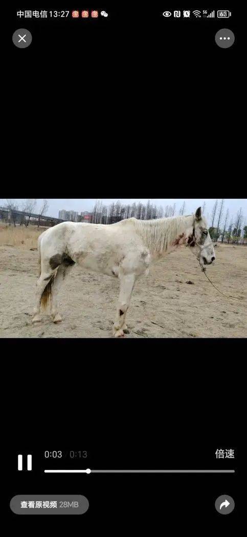 紧急求助!突然病危,已无法站立