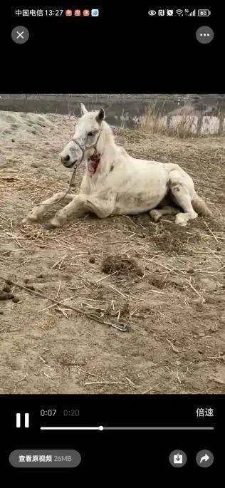 紧急求助!突然病危,已无法站立