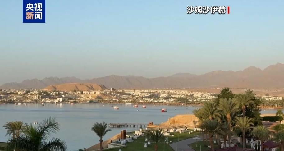 哈马斯、普京最新发声！