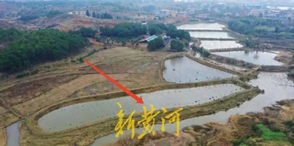 65岁农妇荒塘养鱼被判“非法占用农地”：羁押10月后免刑，仍喊“我没罪”