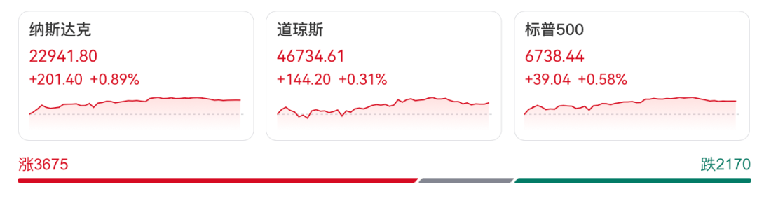 全线大涨! 全线大涨!