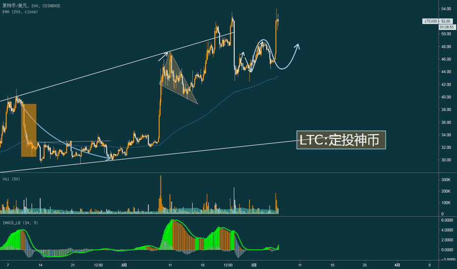 关于莱特币2019年价格预测的信息