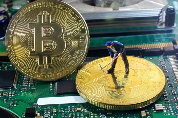 莱特币现金(莱特币现金最新价格)