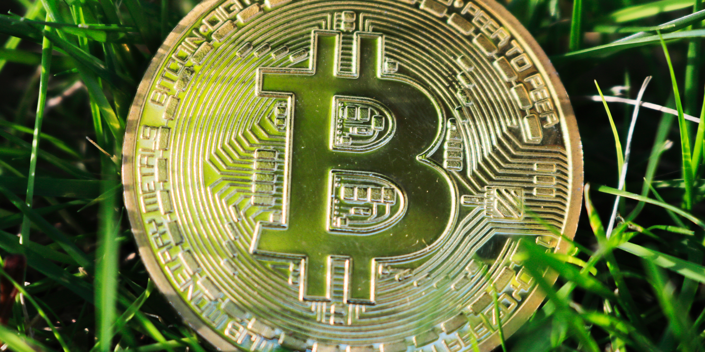 比特现金交易(比特现金交易所)